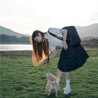 石斛兰